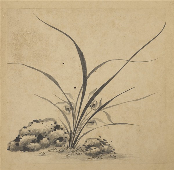 清強國忠畫蘭　冊　蘭花（二）