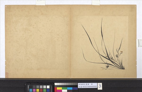 清強國忠畫蘭　冊　蘭花（三）