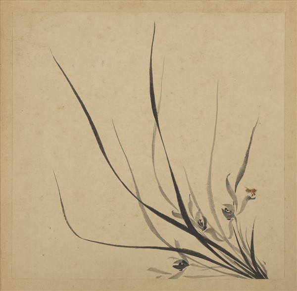 清強國忠畫蘭　冊　蘭花（三）