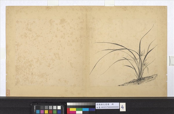 清強國忠畫蘭　冊　蘭花（四）