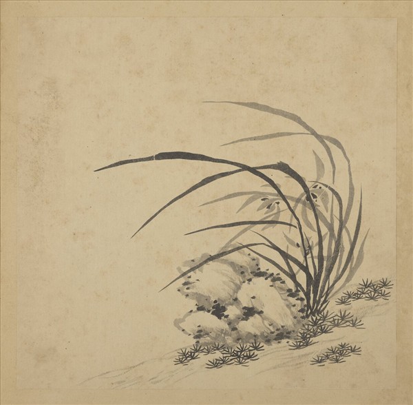 清強國忠畫蘭　冊　蘭花（五）