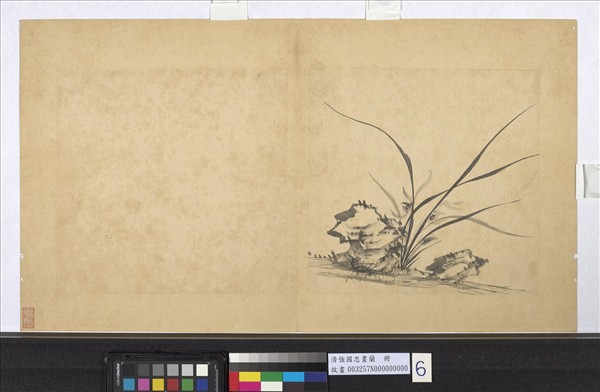 清強國忠畫蘭　冊　蘭花（六）