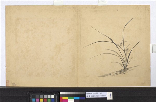 清強國忠畫蘭　冊　蘭花（七）