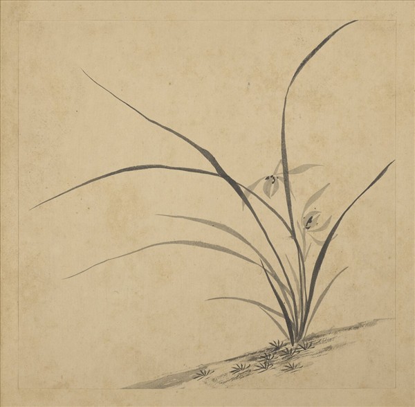 清強國忠畫蘭　冊　蘭花（七）