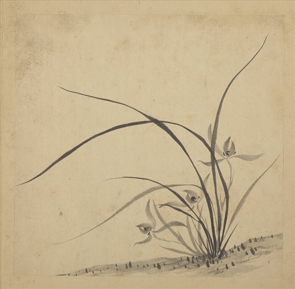 清強國忠畫蘭　冊　蘭花（八）