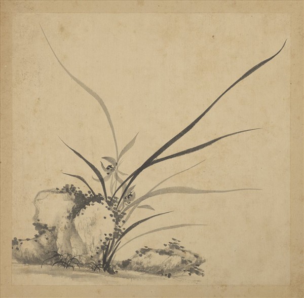 清強國忠畫蘭　冊　蘭花（九）