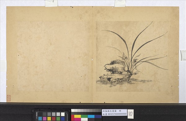 清強國忠畫蘭　冊　蘭花（十）