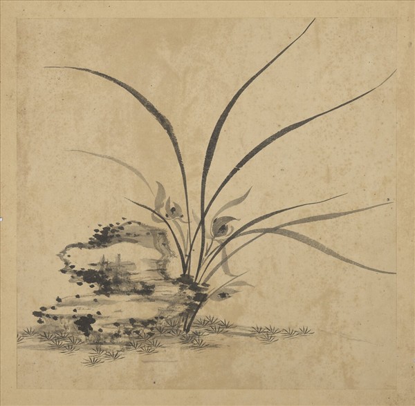 清強國忠畫蘭　冊　蘭花（十）