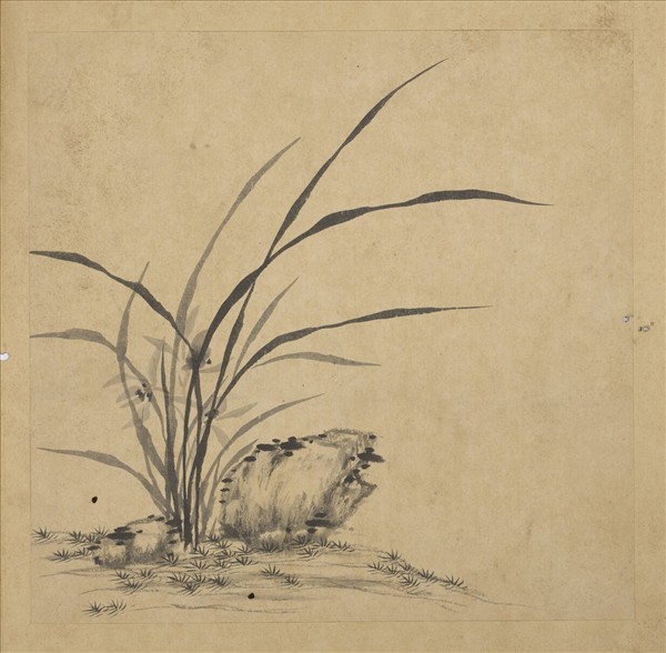 清強國忠畫蘭　冊　蘭花（十一）