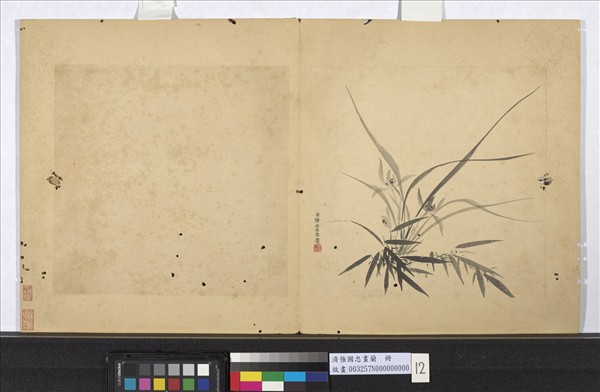 清強國忠畫蘭　冊　蘭花（十二）