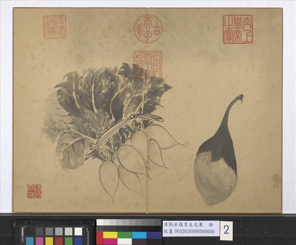 清張若靄寫生花果　冊　蘿蔔與茄