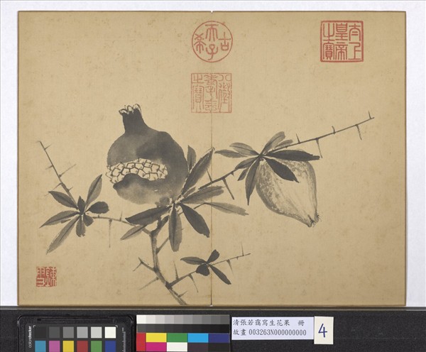 清張若靄寫生花果　冊　榴實