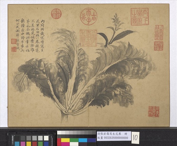 清張若靄寫生花果　冊　菘