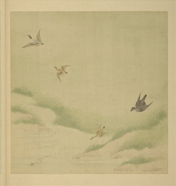 清阿爾粺勁翮宣威圖　冊　鷹鴨