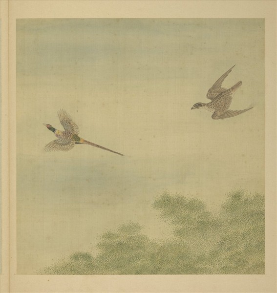 清阿爾粺勁翮宣威圖　冊　鷹雉