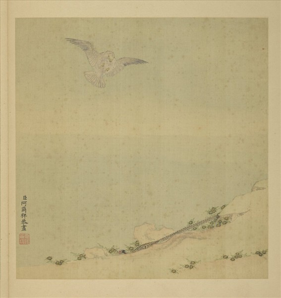 清阿爾粺勁翮宣威圖　冊　鷹雉