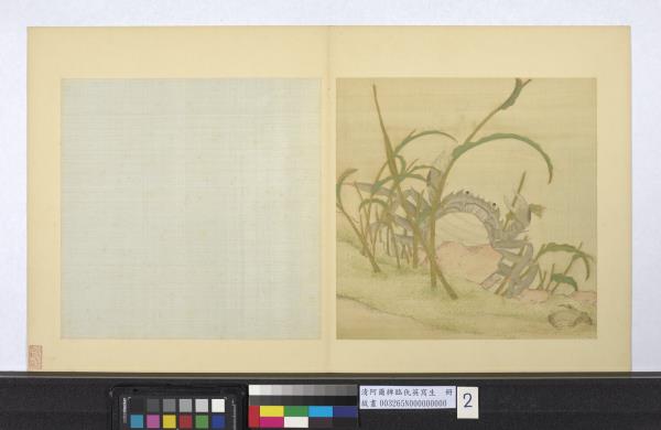 清阿爾粺臨仇英寫生　冊　蟹蛙