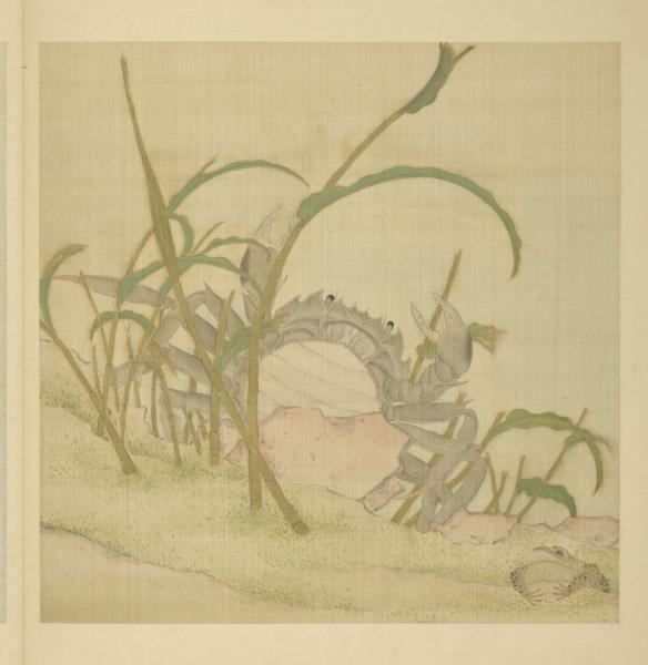 清阿爾粺臨仇英寫生　冊　蟹蛙