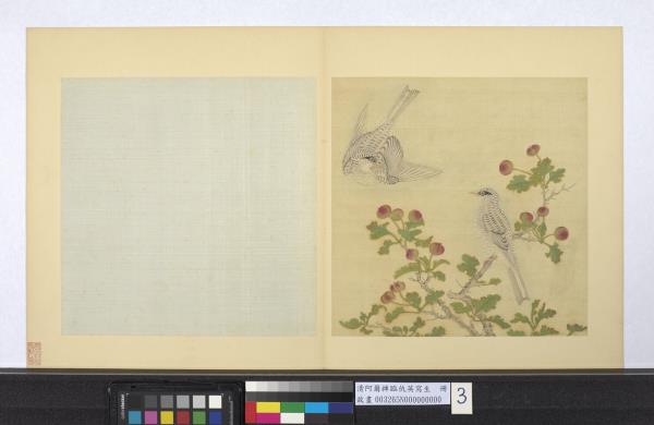 清阿爾粺臨仇英寫生　冊　雙鳥