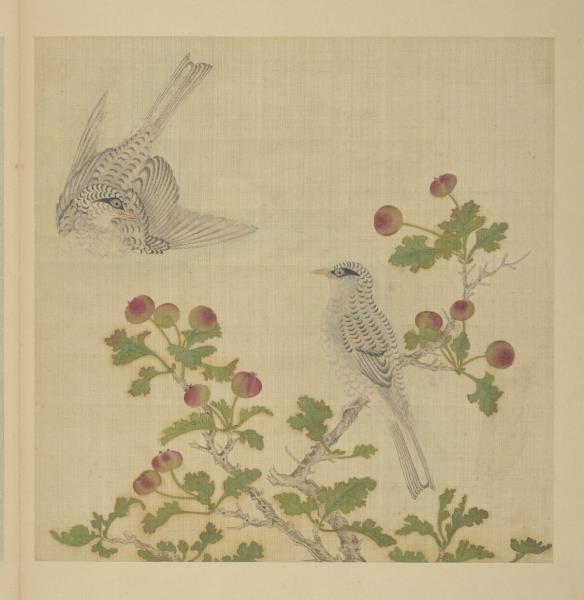 清阿爾粺臨仇英寫生　冊　雙鳥