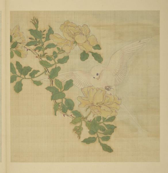 清阿爾粺臨仇英寫生　冊　月季燕