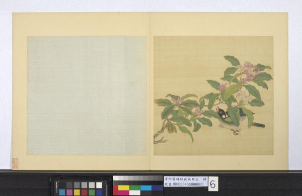 清阿爾粺臨仇英寫生　冊　花鳥