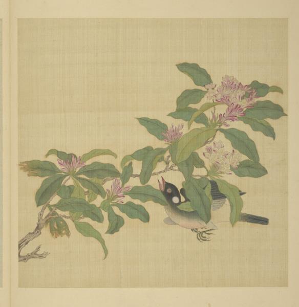 清阿爾粺臨仇英寫生　冊　花鳥