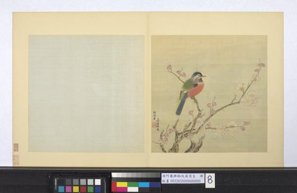 清阿爾粺臨仇英寫生　冊　杏花鳥