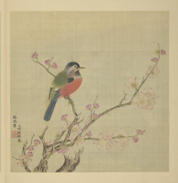 清阿爾粺臨仇英寫生　冊　杏花鳥