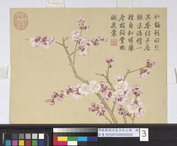清錢維城畫四氣含和上冊　冊　杏花