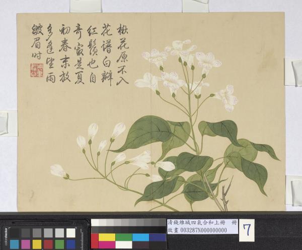 清錢維城畫四氣含和上冊　冊　楸花