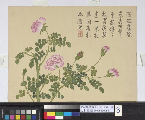 清錢維城畫四氣含和上冊　冊　薔薇