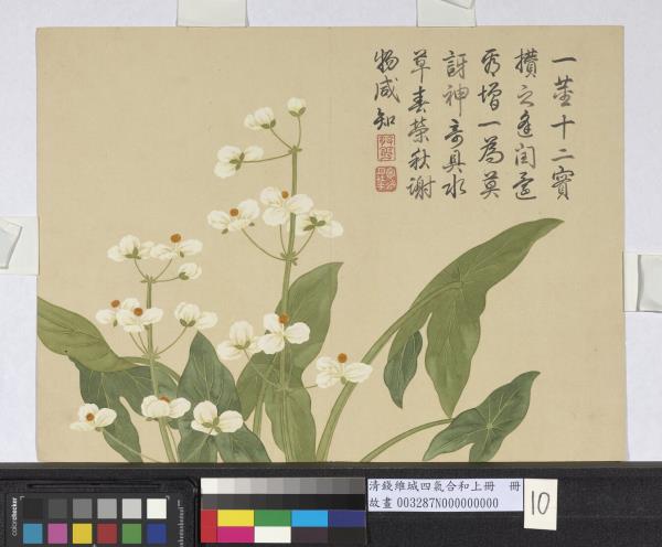 清錢維城畫四氣含和上冊　冊　水慈菇花