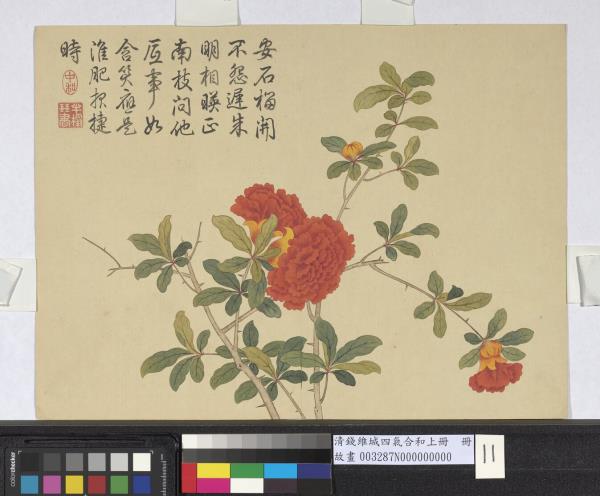 清錢維城畫四氣含和上冊　冊　石榴花