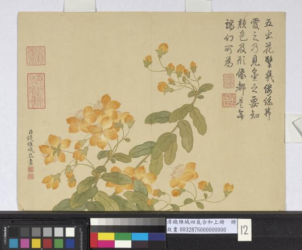 清錢維城畫四氣含和上冊　冊　金絲桃