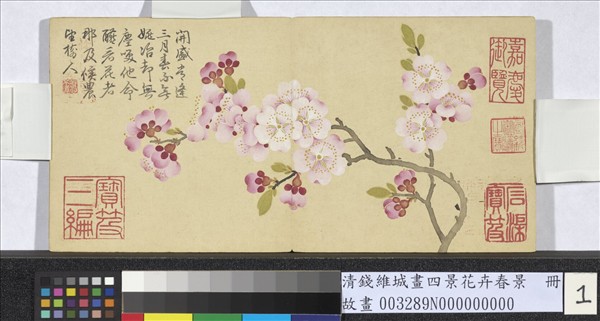 清錢維城畫四景花卉春景　冊　杏花