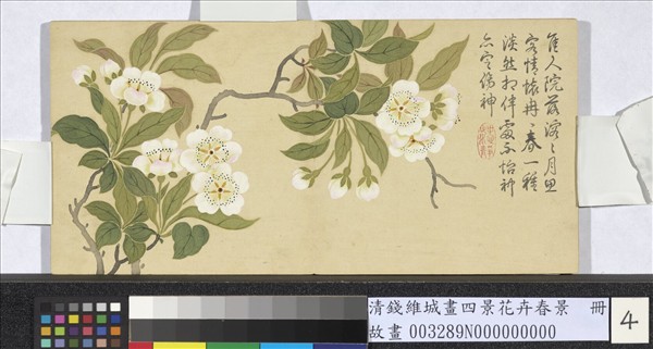 清錢維城畫四景花卉春景　冊　梨花