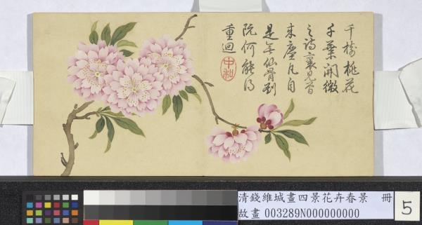 清錢維城畫四景花卉春景　冊　千葉桃