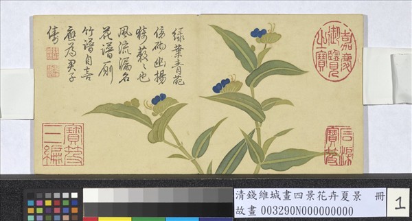 清錢維城畫四景花卉夏景　冊　淡竹葉