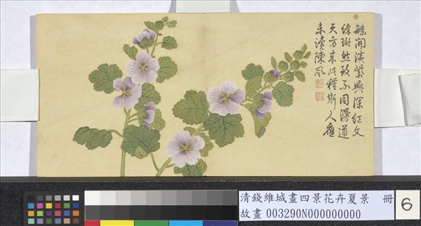 清錢維城畫四景花卉夏景　冊　錦葵
