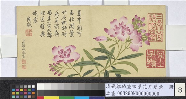 清錢維城畫四景花卉夏景　冊　夾竹桃