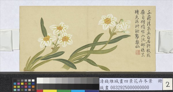 清錢維城畫四景花卉冬景　冊　水仙