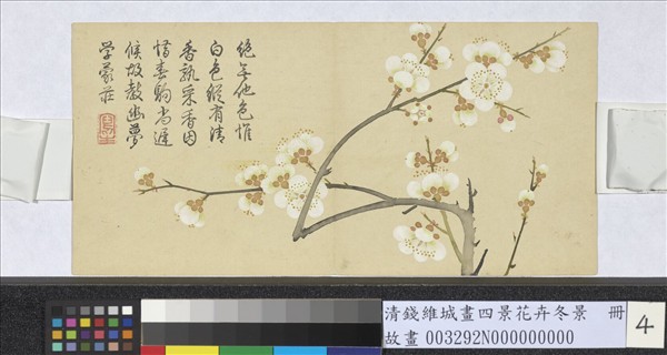 清錢維城畫四景花卉冬景　冊　玉蝶梅