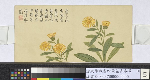 清錢維城畫四景花卉冬景　冊　金盞