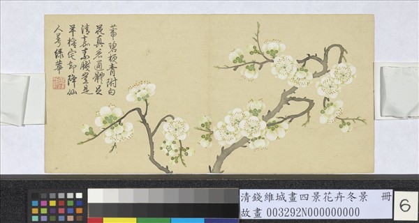 清錢維城畫四景花卉冬景　冊　綠萼梅