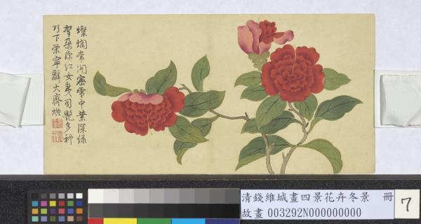 清錢維城畫四景花卉冬景冊寶珠茶花- 故宮
