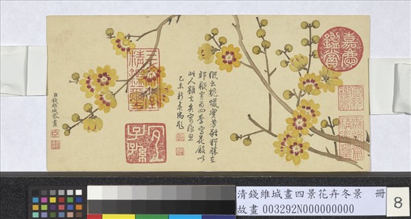 清錢維城畫四景花卉冬景　冊　臘梅