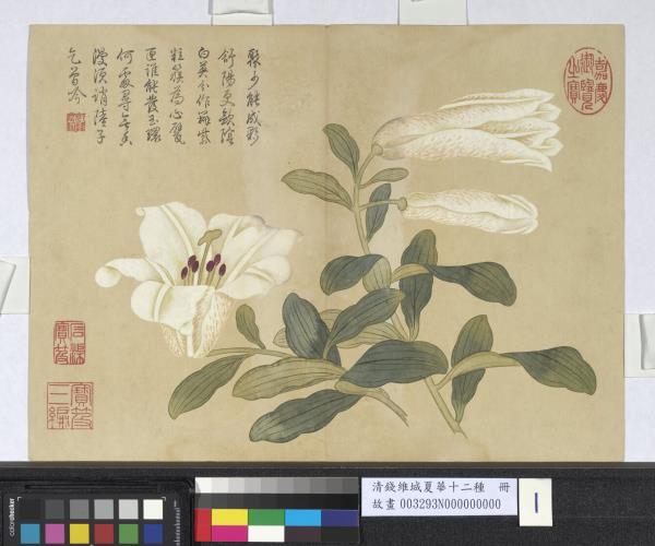 清錢維城夏華十二種　冊　百合花