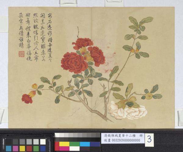 清錢維城夏華十二種　冊　石榴花