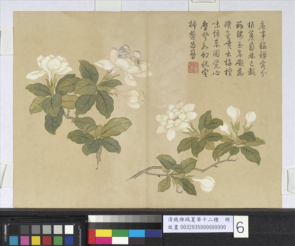 清錢維城夏華十二種　冊　梔枝花